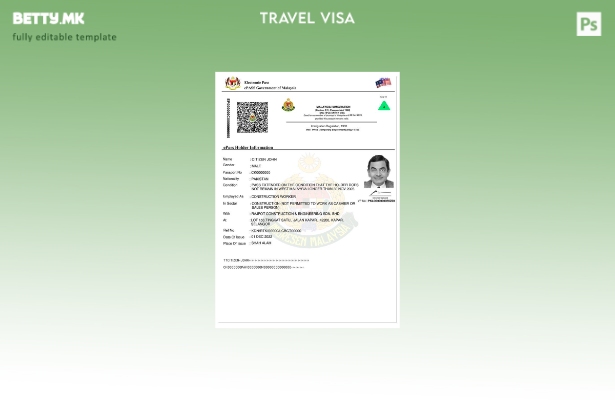 Модерен стил шаблон за влезна виза за Малезија e pass